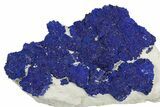 Vibrant Blue Azurite Suns on Siltstone - Australia #254048-1